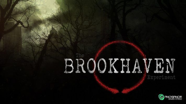 the-brookhaven-experiment