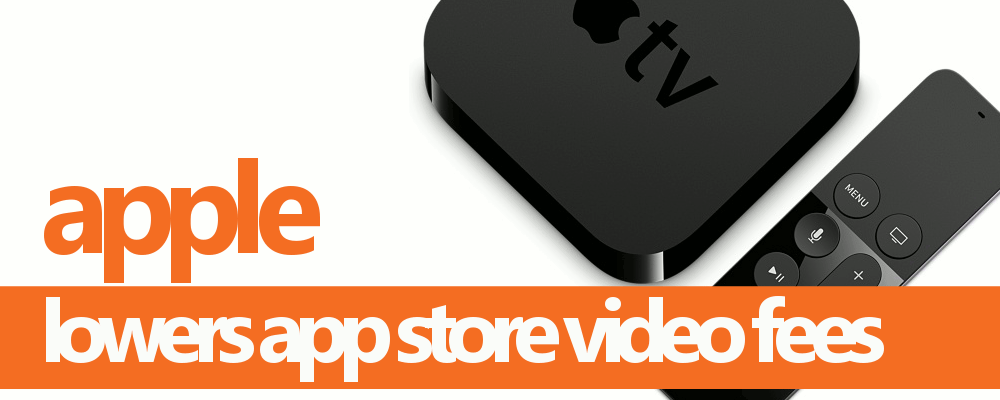 app-store-video-fees