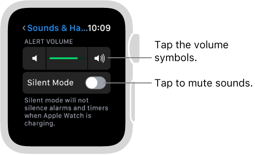 How to adjust brightness, sounds, and haptics on Apple Watch