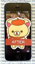 fixing iphone 5 screen