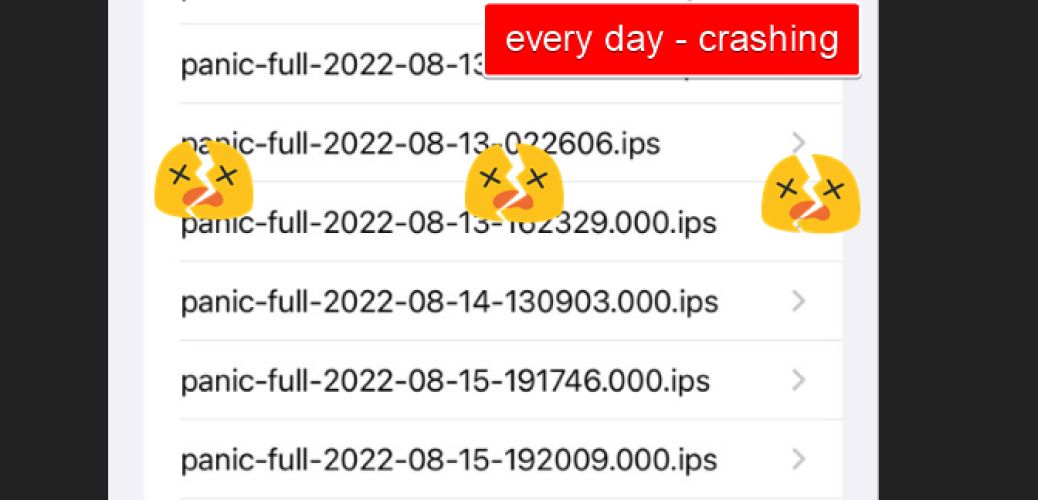 iphone 12 pro max panic full-crashing-report