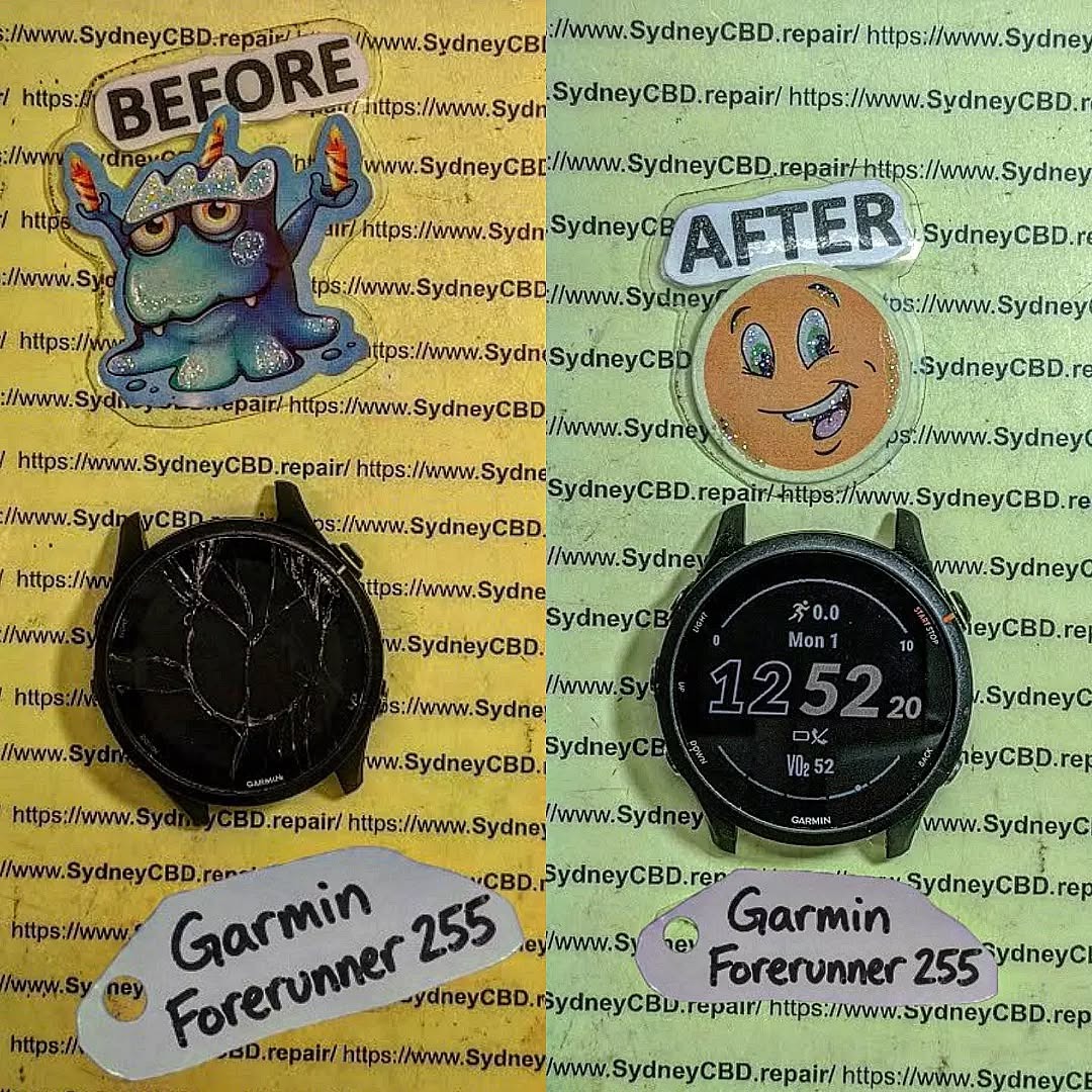garmin forerunner 255